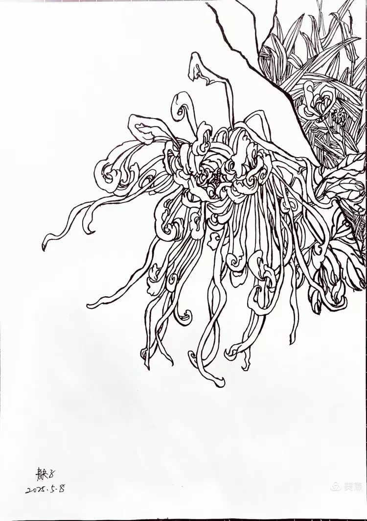 悉数时光之次第花开